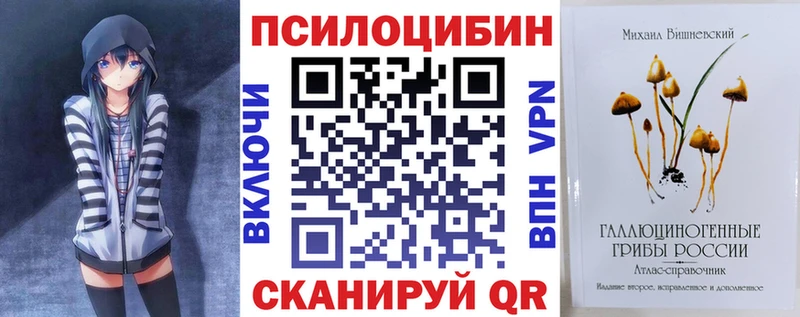 сколько стоит  Омутнинск  Псилоцибиновые грибы Psilocybine cubensis 